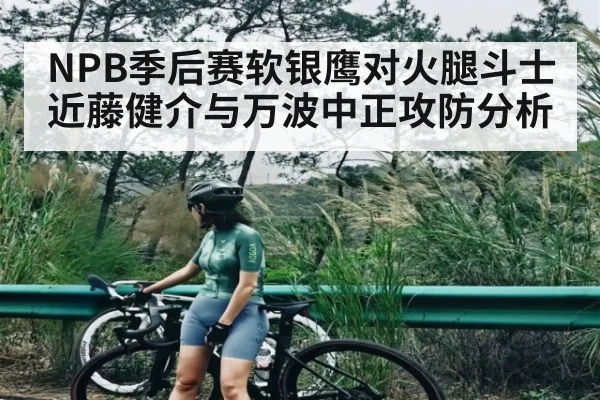 NPB季后赛软银鹰对火腿斗士 近藤健介与万波中正攻防分析